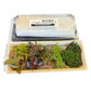 Natura Selection Box